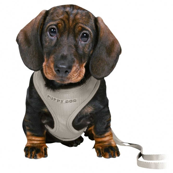 Trixie Junior Welpen-Softgeschirr mit Leine