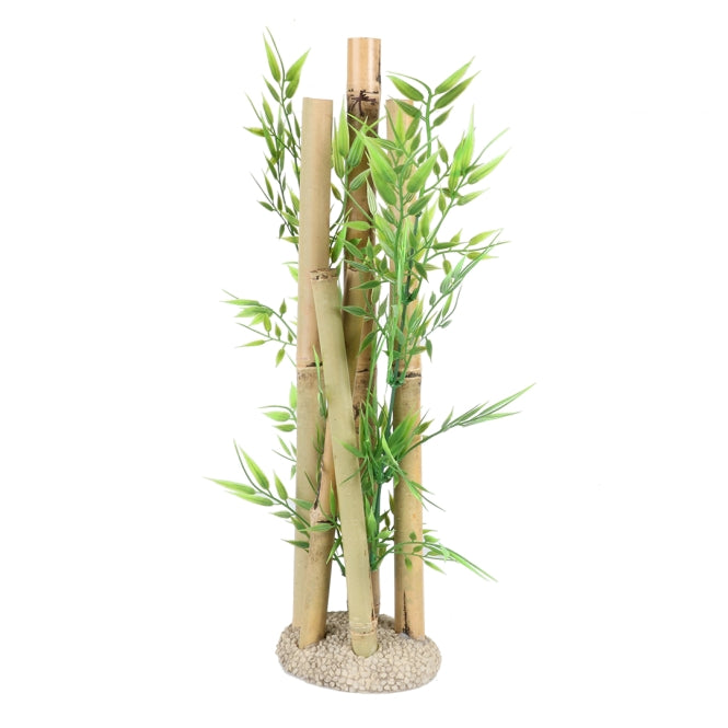 Aqua Della Bambusornament Grösse XL