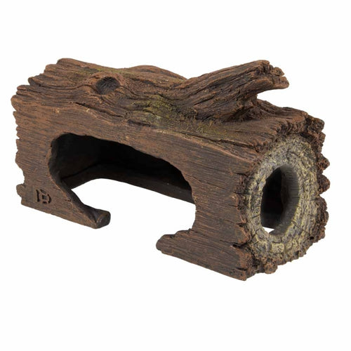 Aqua Della Zucht-Höhle Baum Braun