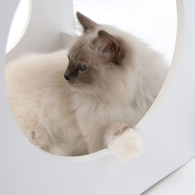 Vesper Katzenhaus Condo - Weiss