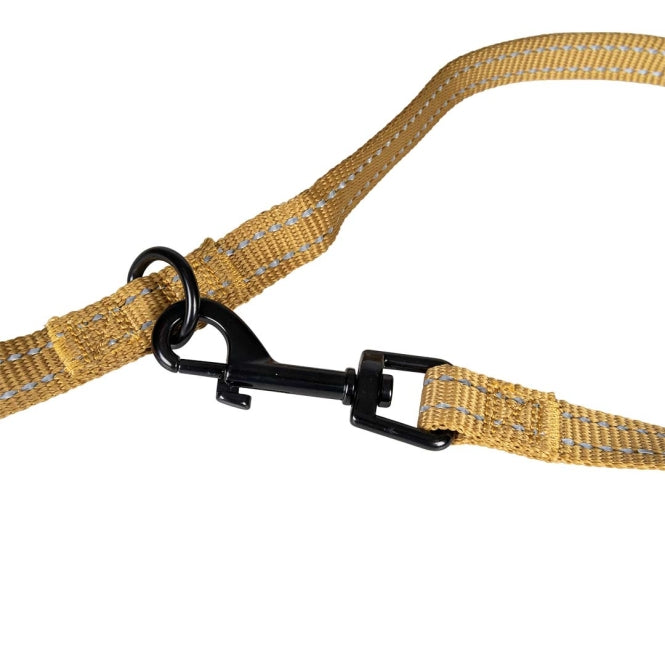 Duvoplus Trainingsleine EXPLOR Ultimate Fit Classic - honey gold - 220cm