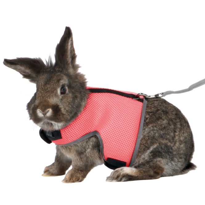 Trixie Softgeschirr fuer grosse Kaninchen
