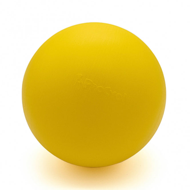 PROCYON Treibball Grösse S - extra stabil