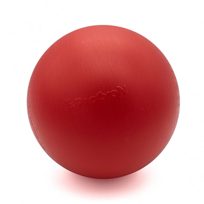 PROCYON Treibball Grösse S - extra stabil