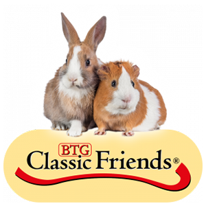 Classic Friends